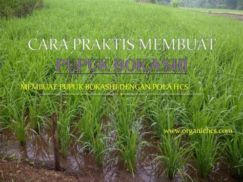 Cara Praktis Membuat Pupuk Bokashi