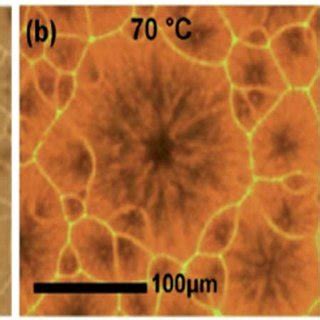 Optical Microscopic Images Of Perovskite Thin Films With Different