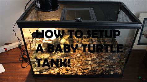 How To Setup A Baby RED EARED SLIDER Turtle Tank! - YouTube