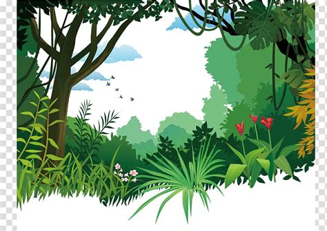 Animated jungle illustration, Tropical and subtropical moist broadleaf forests Poster, forest ...