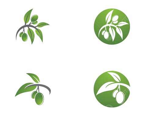 Olive Oil Logo Vector Icon Illustration Olives Branch Design Vector