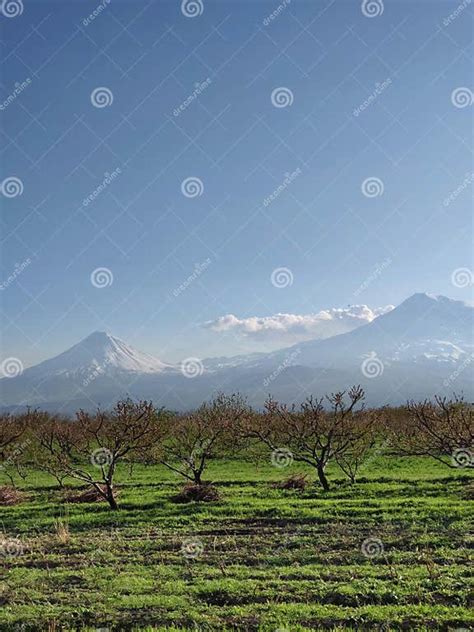 Masis Mountain Ararat Stock Image Image Of Masis Grassland 179215075