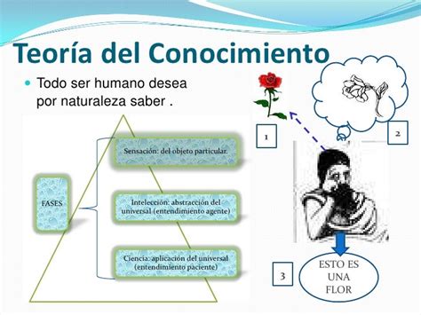 Teora Del Conocimiento De Aristoteles