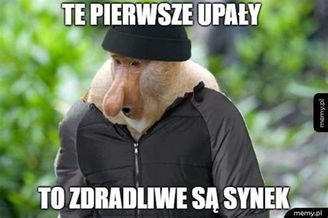 Sposob W Na Upa Y Najlepsze Memy Kurier Poranny