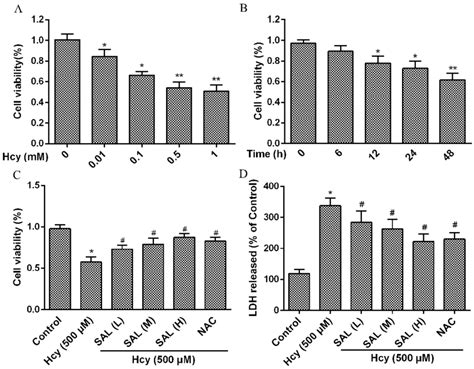 Salidroside Increases Endothelial Cell Viability And Decreased Ldh