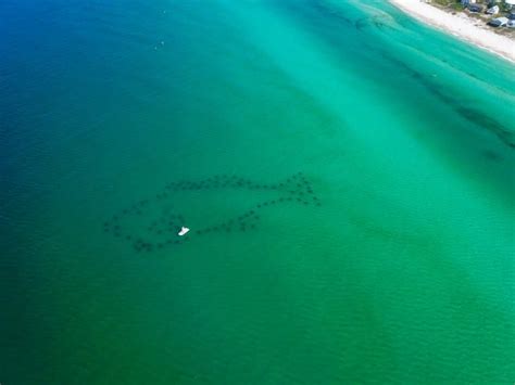 Destin, Florida Snorkeling: Where to Snorkel - RealJoy