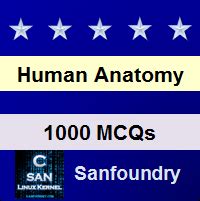 Human Anatomy Questions And Answers Syndesmology Articulations Of