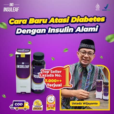 Jual Bio Insuleaf Herbal Alami Asli Bantu Turunkan Kadar Gula