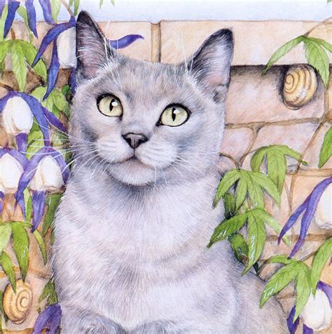Нарисованные коты (80 картинок)
