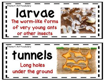 Nd Grade Ela Common Core Activities Aligned With Houghton Mifflin Theme