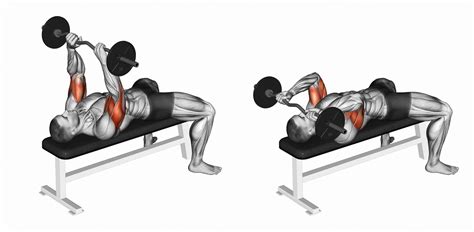 13 Best Skull Crusher Alternative Exercises For Huge Triceps