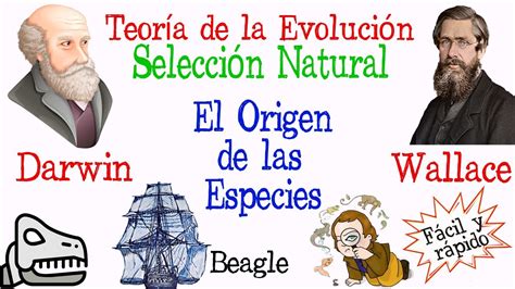 Resumen De La Teoria De La Evolucion De Las Especies De Charles Darwin