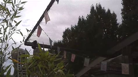 Chessington Cobra Youtube
