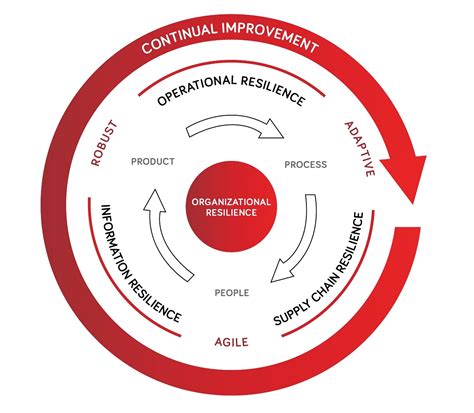 Essential Elements And Domains Of Organizational Resilience Bsi