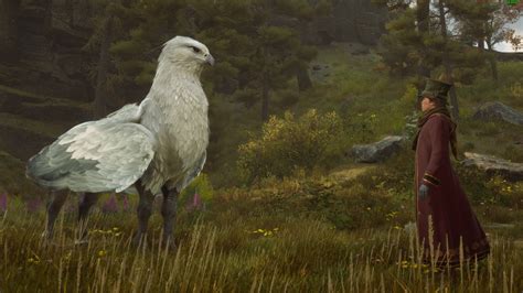 Hogwarts Legacy-Hippogriff 2 by GiuseppeDiRosso on DeviantArt