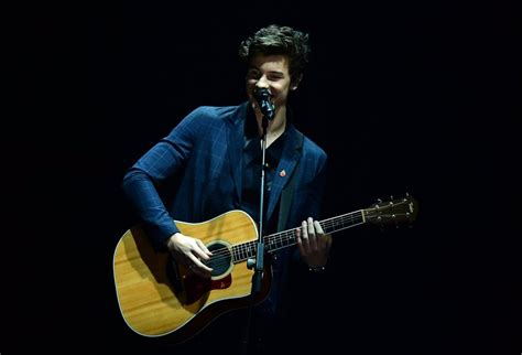Escucha El Arrebatador Nuevo Single De Shawn Mendes In My Blood