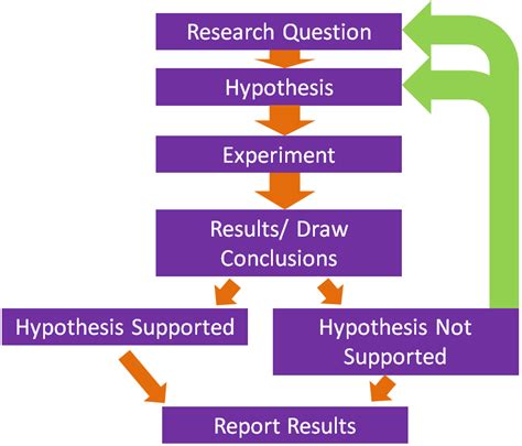 What Is Science Research And Why Is It Important — Project Brain Light