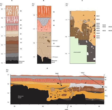 Generalized Stratigraphic Profiles For Dmanisi Indicating Origins Of Download Scientific