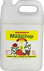 Amazon Maxicrop 3002 Liquid Fish Fertilizer 1 Gallon 6 Pack