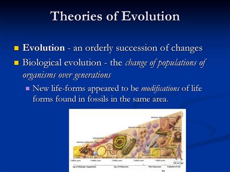 Evolution Evolutionary Thought Evidence Ppt Download