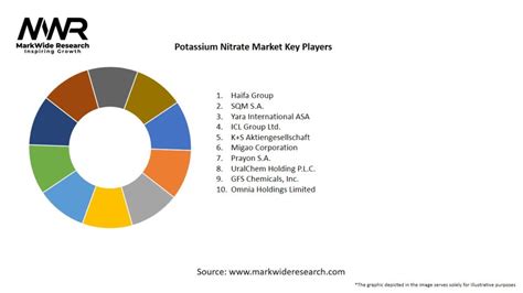 Potassium Nitrate Market 2024 2032 Size Share Growth