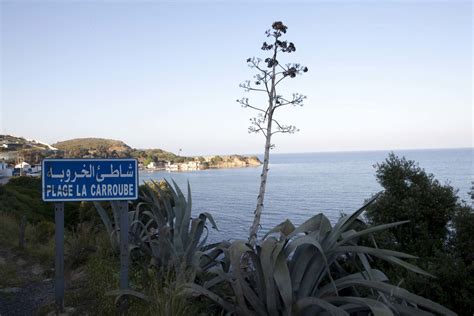 Plage La Caroube Annaba Philippe Henck Flickr