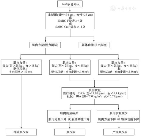 老年人肌少症防控干预中国专家共识训练老年人患者新浪新闻