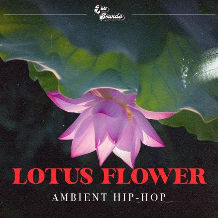 LEX Sounds Lotus Flower Ambient Hip Hop WAV FANTASTiC 编曲资源