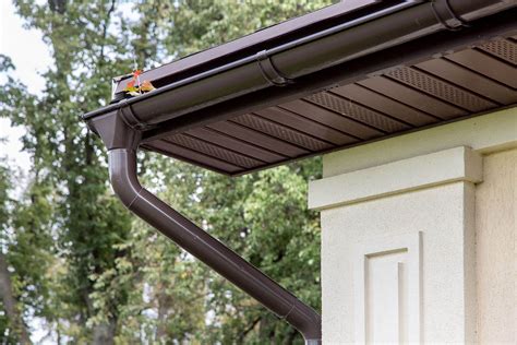 How To Clean Your Homes Gutters A Comprehensive Guide Thingsmate