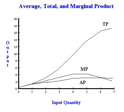 Market Earth: average product versus marginal product