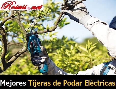 Mejores Tijeras De Podar El Ctricas Cu L Comprar