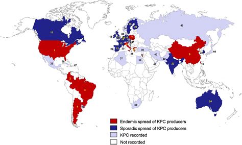 Frontiers Global Dissemination Of Carbapenemase Producing Klebsiella