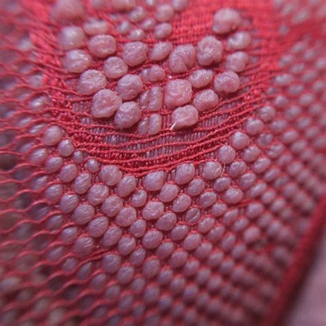 Eunuch Ohne Hoden Gay Man Porn XHamster