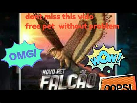 How To Get Falco Pet Problem In Falco Pet Youtube