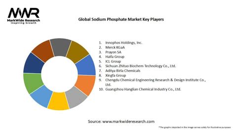 Global Sodium Phosphate Market 2024 2032 Sizeshare Growth