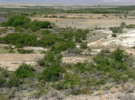 Ash Meadows National Wildlife Refuge | Natural Atlas