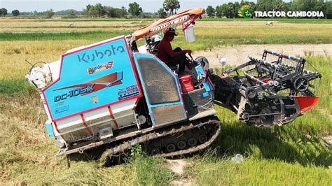 Best Combine Harvester Working Skills At Paddy Rice Farming Kubota