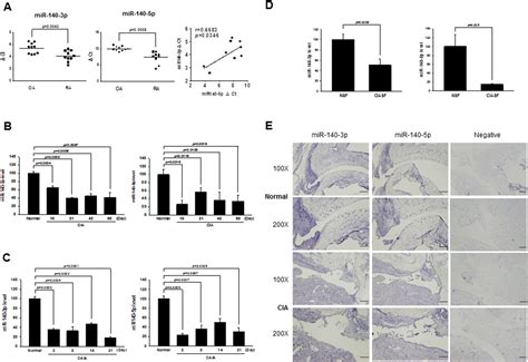 Amelioration Of Experimental Autoimmune Arthritis Through Targeting Of