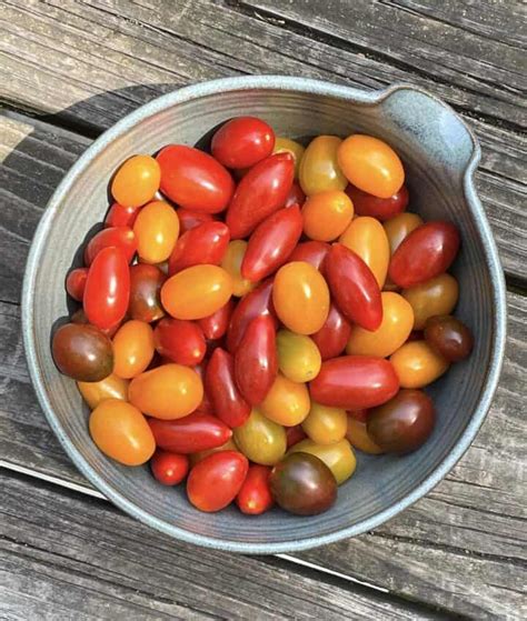 Dehydrated Cherry Tomatoes 3 Easy Ways Southern Bytes