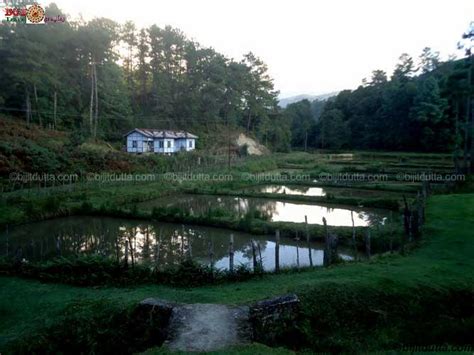 High Altitude Fish Seed Farm Tarin Ziro Bijits Organic Travel