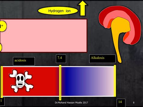 1-Introduction renal system.ppt
