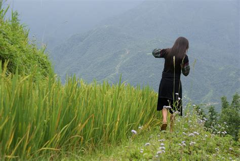 Free Images Landscape Grass Wilderness Walking Mountain Field