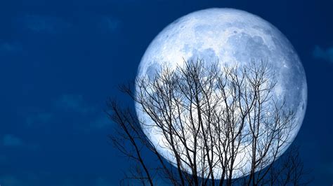 MOON in GEMINI – The Daily Gemini