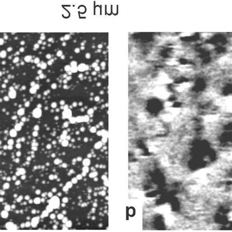 A Afm And B Mfm Images From The Same Surface Region Of Annealed