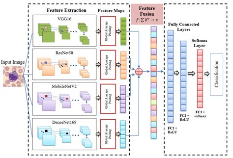 Spatial Feature Fusion Based Deep Cnn Model Using Ensemble Deep Cnn And