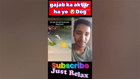 Wow Dogi Ki Aktingfannyvideo Sortvideo Trending Good Viral