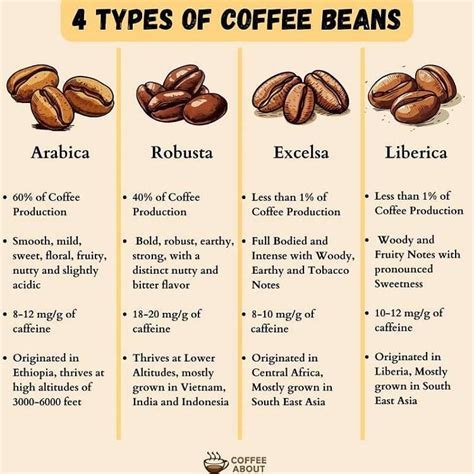 Types Of Coffee Beans Explained (Varieties And Cultivars)