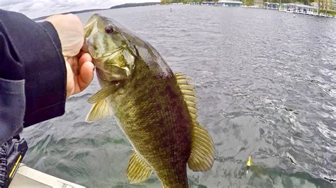 Fall Smallmouth Bass Fishing A Deep Crystal Clear Lake Youtube