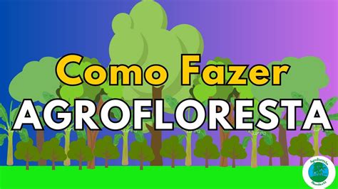 Agrofloresta Como Fazer O Segredo De Como Planejar Uma Agrofloresta