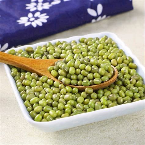 Freshly Harvested Green Mung Bean From Shandong China Fresh Green